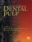 Seltzer and Bender’s Dental Pulp, 1st Edition
