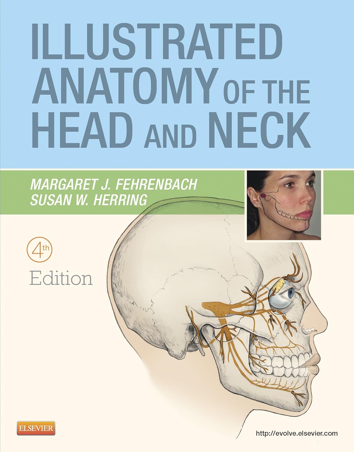 Illustrated Anatomy of the Head and Neck, 4th Edition 4th Edition