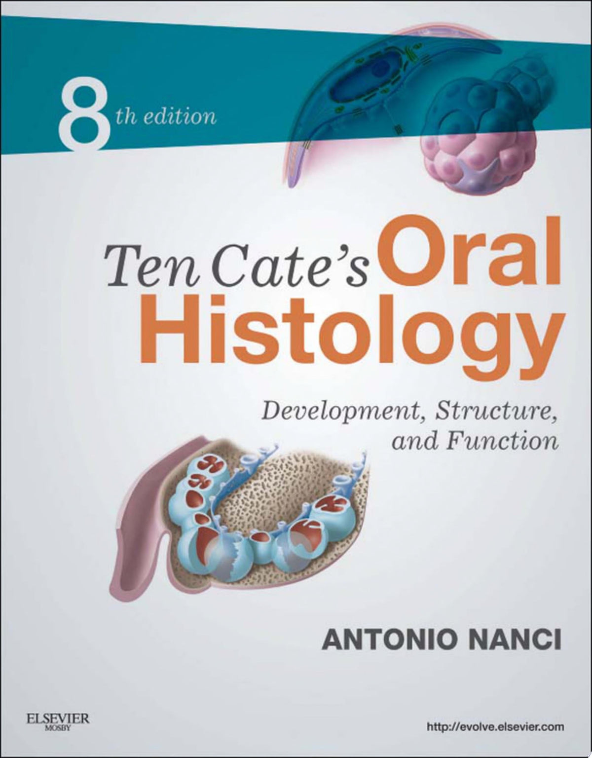 Ten Cate's Oral Histology - E-Book