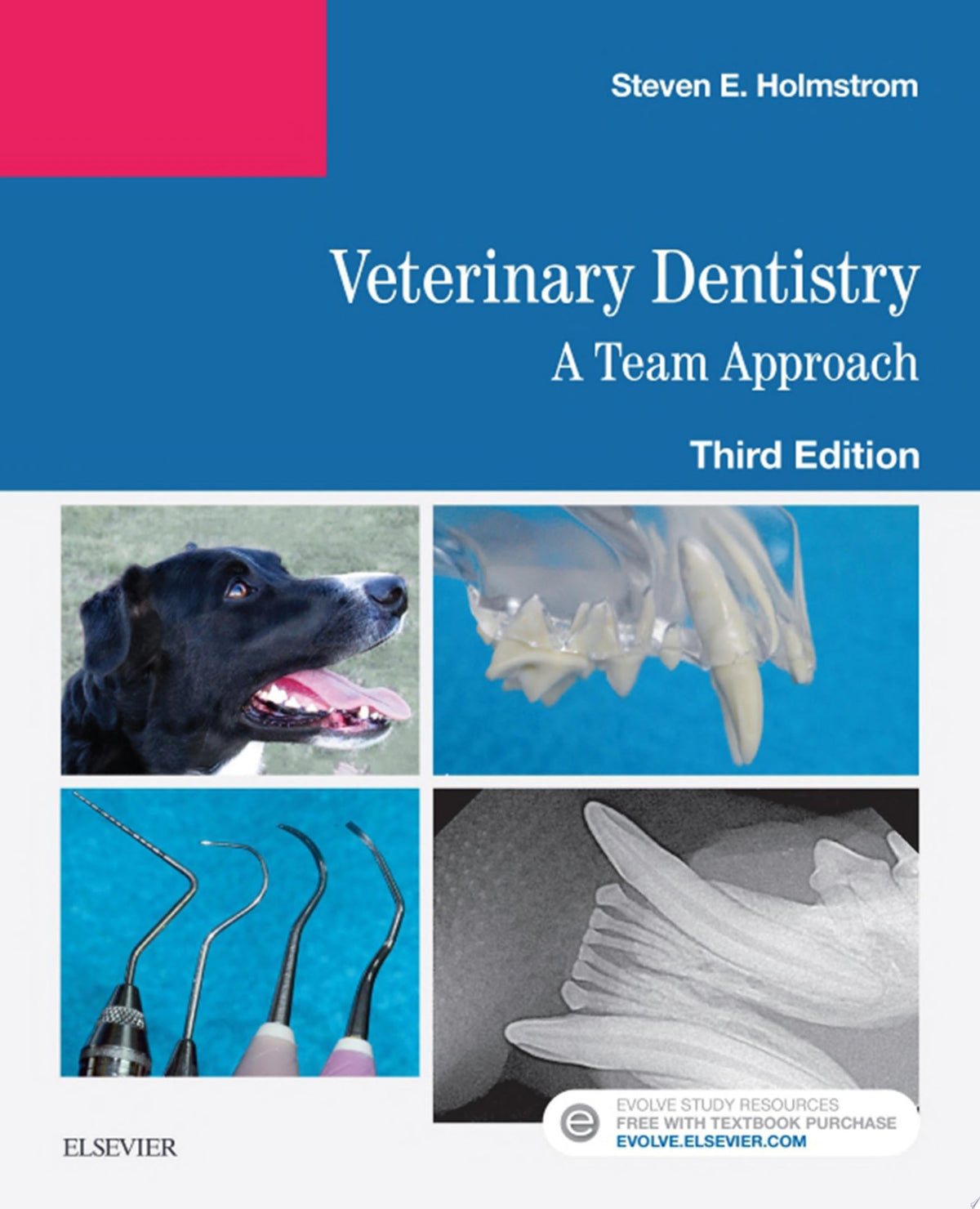 Veterinary Dentistry: A Team Approach E-Book