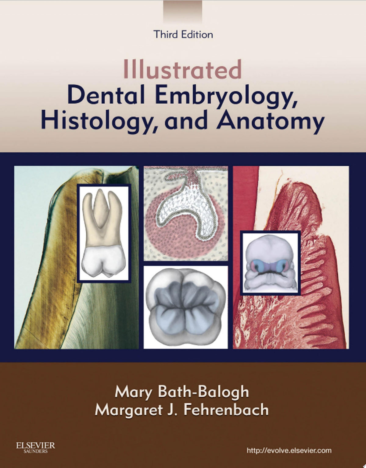 Illustrated Dental Embryology, Histology, and Anatomy - E-Book