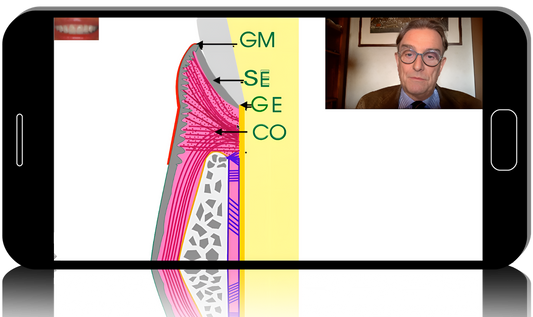 Surgical periodontics: preparation for prosthetics